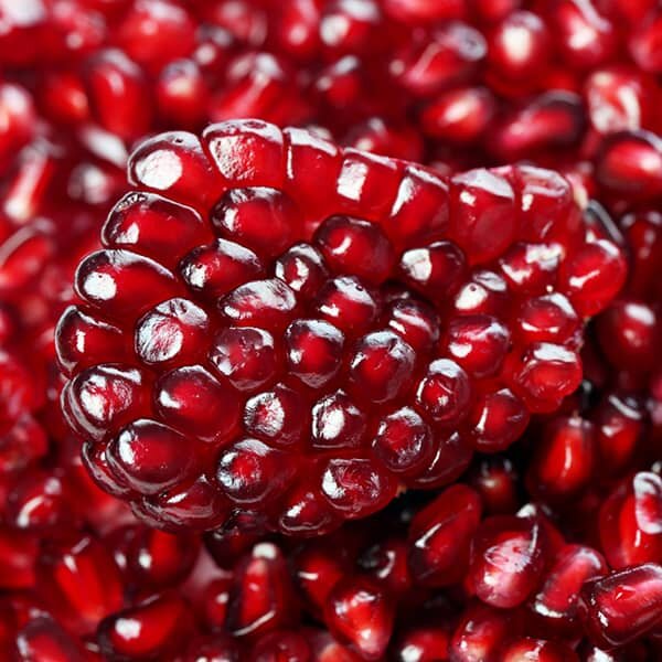 تصویر 5 از فروش انار یاقوتی شهرضا + قیمت خرید به صرفه