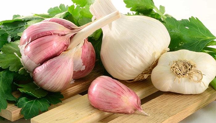 تصویر 3 از خرید سیر سفید امساله + قیمت فروش استثنایی