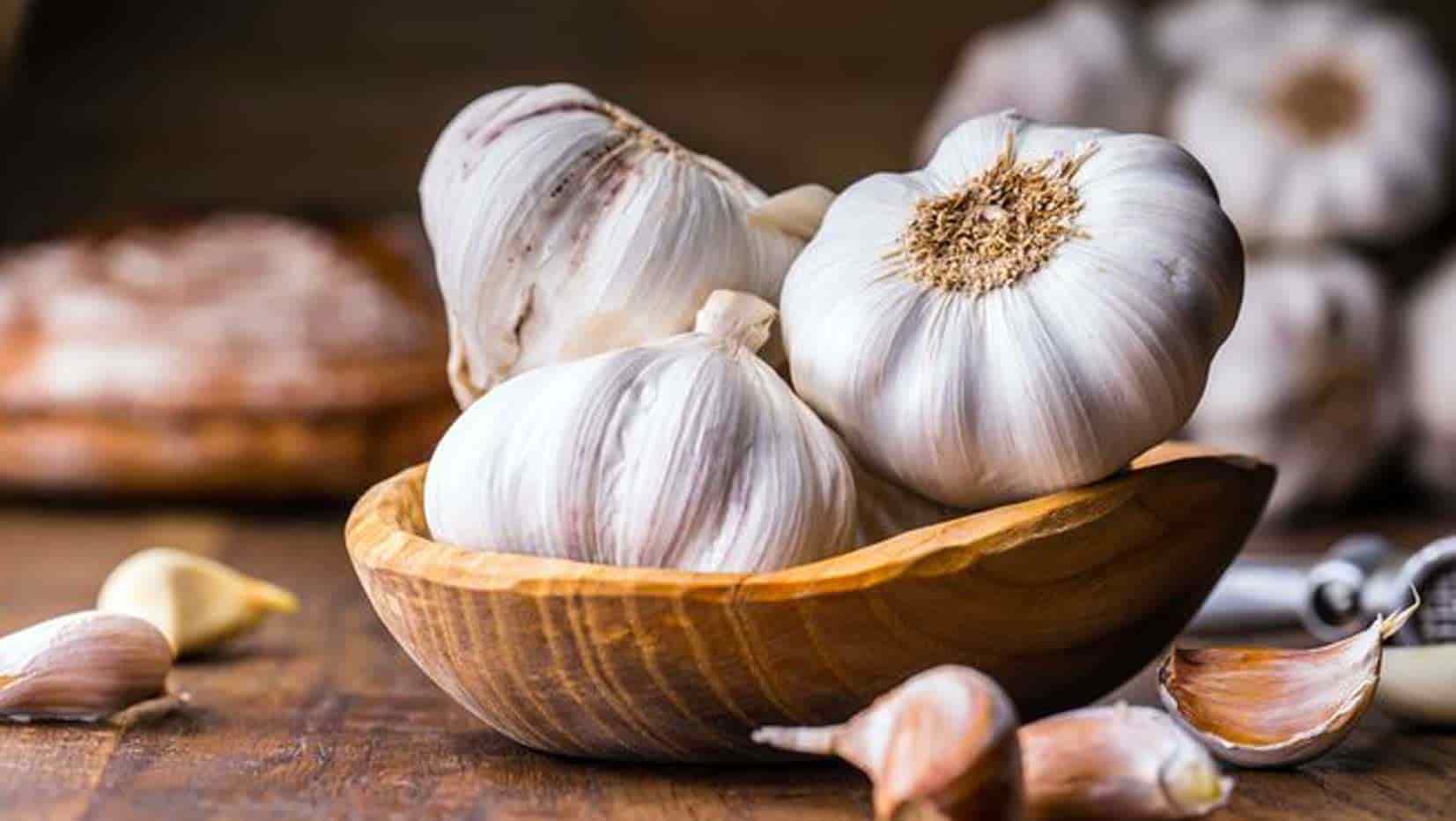 تصویر 2 از خرید و قیمت سیر سفید ایرانی اعلا + فروش صادراتی