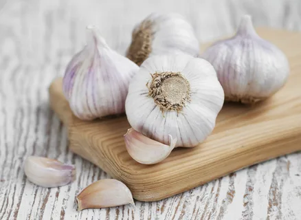 فروش سیر همدان + قیمت خرید به صرفه
