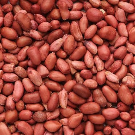 تصویر 1 از خرید و قیمت بادام زمینی عمده + فروش عمده