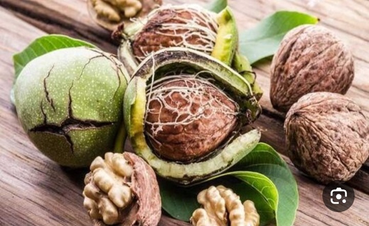 خرید گردوی بلغاری عمده ترد و روغنی + فروش عمده