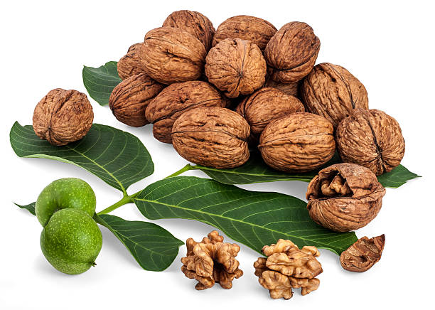 تصویر 5 از قیمت خرید گردو چینی مرغوب با فروش عمده