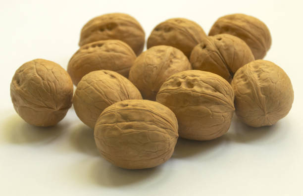خرید گردو خارجی