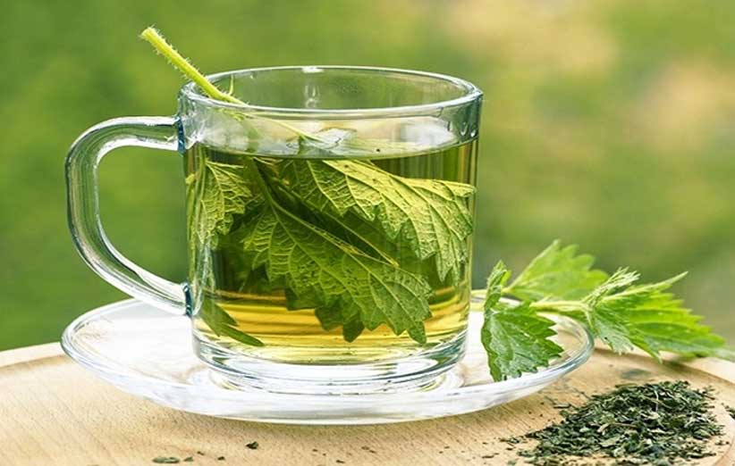 تصویر 1 از خرید و فروش عمده دمنوش نعناع اصل با بهترین قیمت