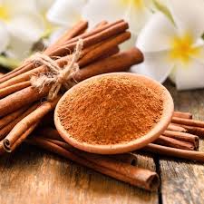 فروش پودر دارچین