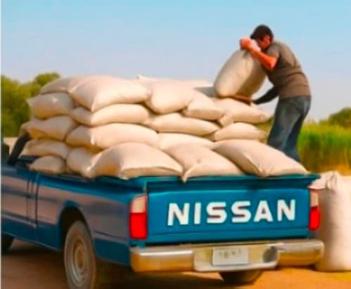 درخواست خرید بذرگشنیز خوراکی از مشتریان uAE