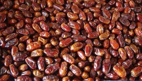قیمت خرما جهرم