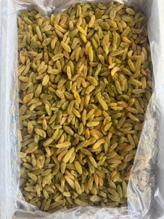 تصویر 1 از کشمش سبز قلمی ممتاز + فروش عمده
