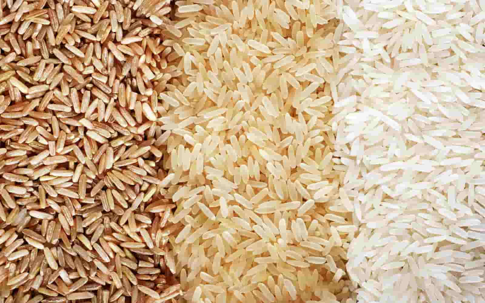 انواع برنج طارم دم سیاه اعلا و ممتاز مناسب پخت روزانه و مجلسی