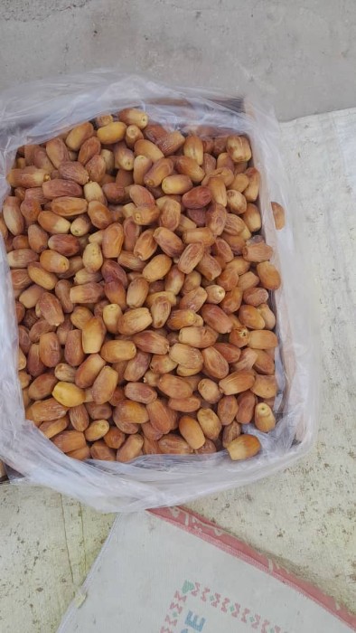 تصویر 3 از خرما زاهدی قصب بوشهر مناسب صادرات به کشور آذربایجان افغانستان