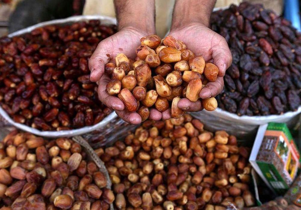تصویر 2 از خرما زاهدی قصب بوشهر مناسب صادرات به کشور آذربایجان افغانستان