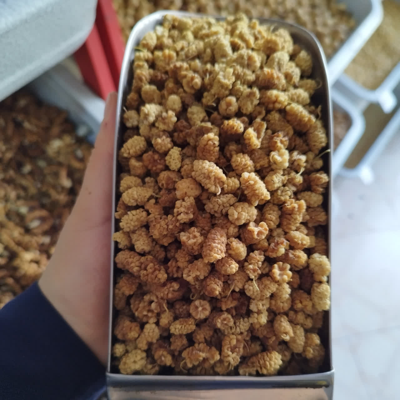 تصویر 1 از توت خشک مشهدی + فروش عمده