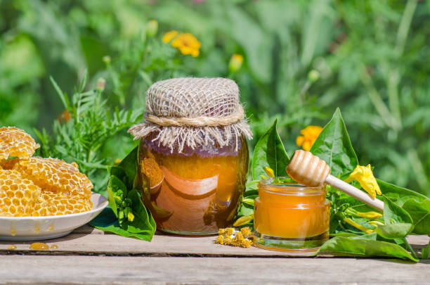 تصویر 3 از عسل چهل گیاه طبیعی با طعمی غنی و عطری بی‌ نظیر