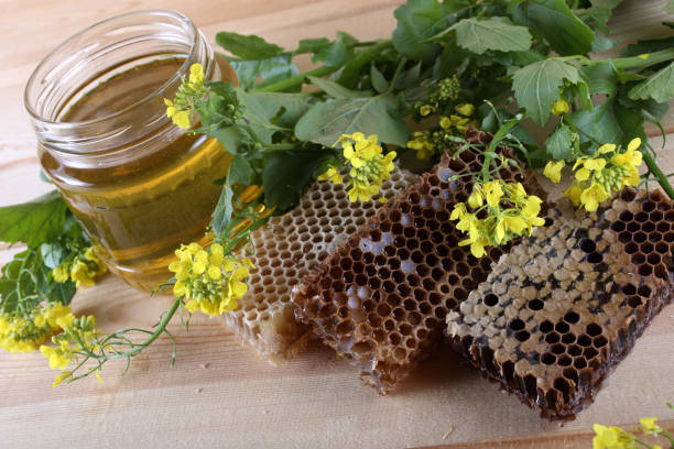 تصویر 3 از عسل چهل گیاه خالص با خواص درمانی و عطر گل‌ های وحشی
