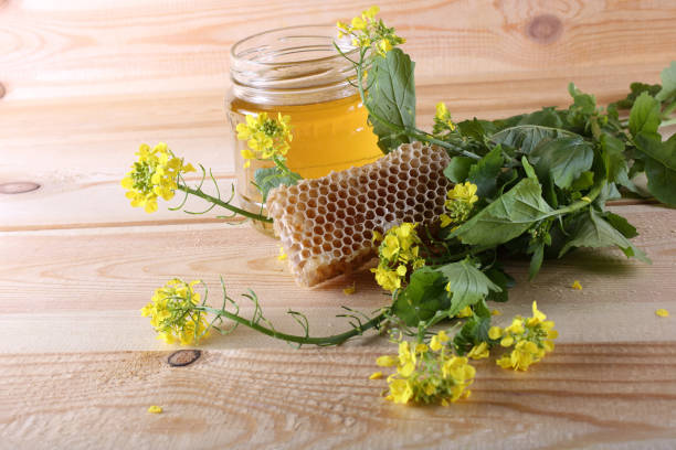 تصویر 2 از عسل چهل گیاه خالص با خواص درمانی و عطر گل‌ های وحشی