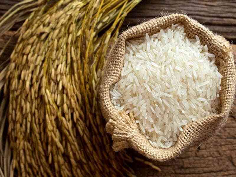 تصویر 1 از برنج طارم هاشمی اعلا دانه بلند با طعم مطبوع