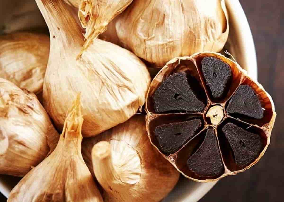 تصویر 4 از سیر سیاه ارگانیک تخمیر شده دارای طعم ملایم و خواص دارویی فراوان