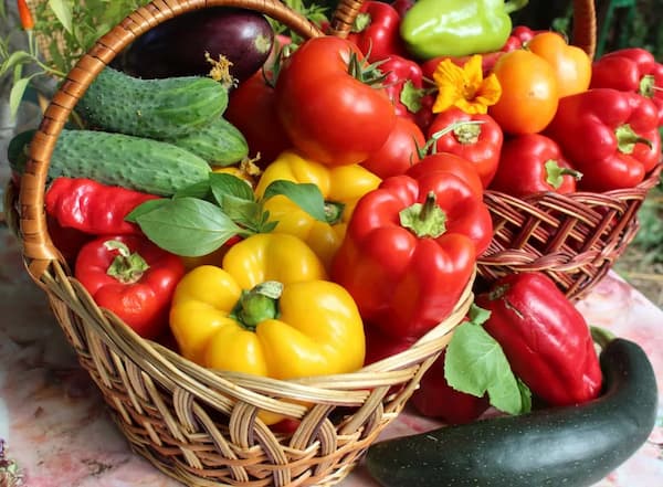 تصویر 2 از فلفل دلمه رنگی برای سالاد پخت و پز و دسر های جذاب