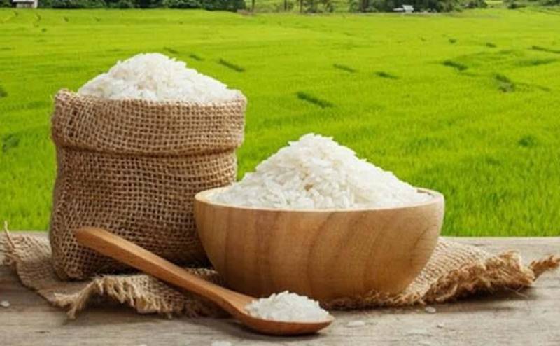 برنج طارم فجر شمال دانه بلند با عطر طبیعی