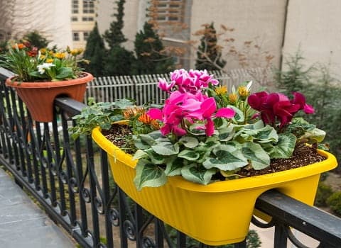تصویر 3 از گلدان پلاستیکی نرده ای مناسب هر سلیقه‌ و انتخابی