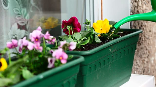 تصویر 1 از گلدان پلاستیکی نرده ای مناسب هر سلیقه‌ و انتخابی