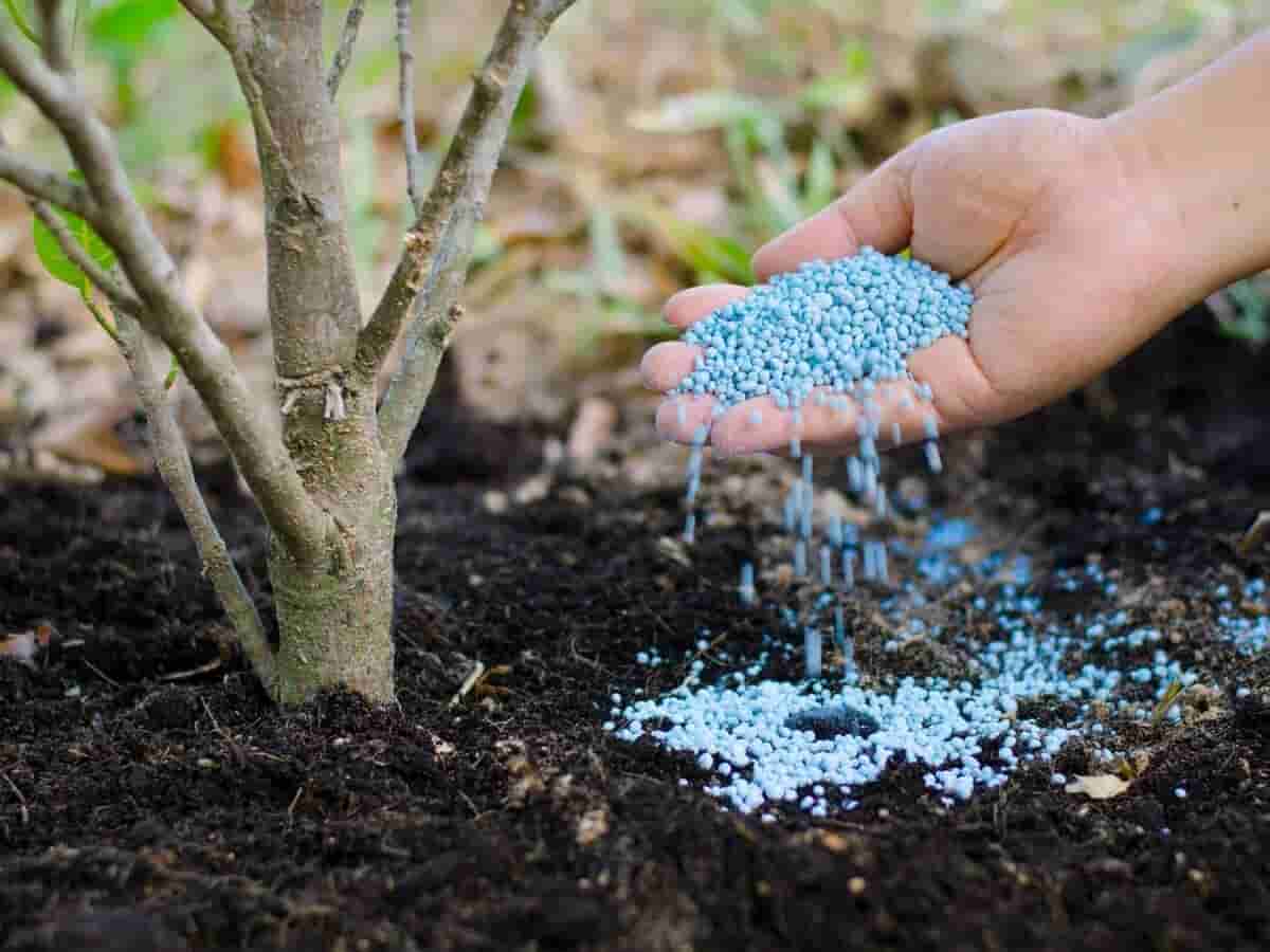 تصویر 3 از کود اوره ریز با دانه‌ بندی‌ های متفاوت