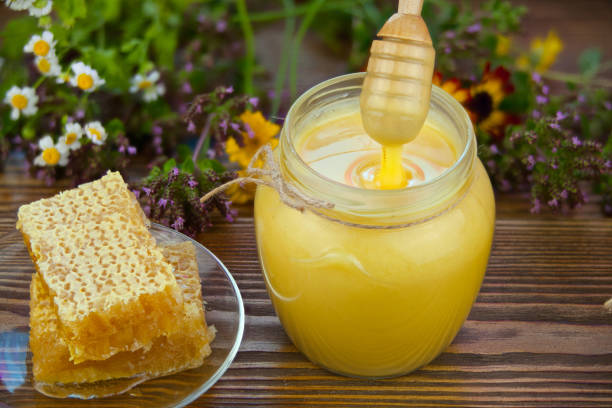 تصویر 2 از ژل رویال جینسینگ ضد خستگی و رفع کم‌ خونی
