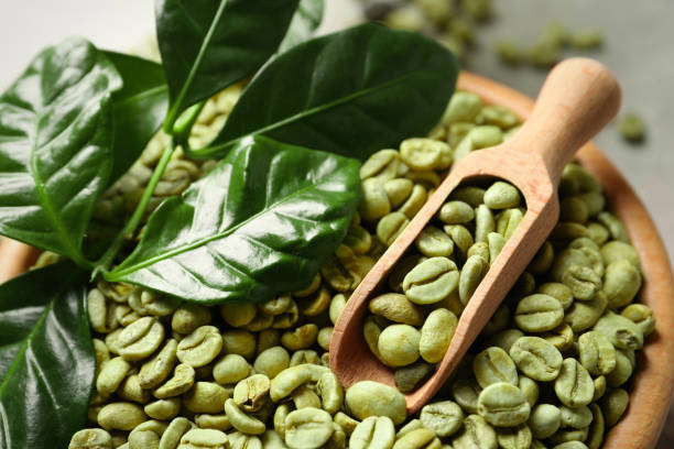 دانه سبز قهوه لیبریکا مخصوص برشت تخصصی