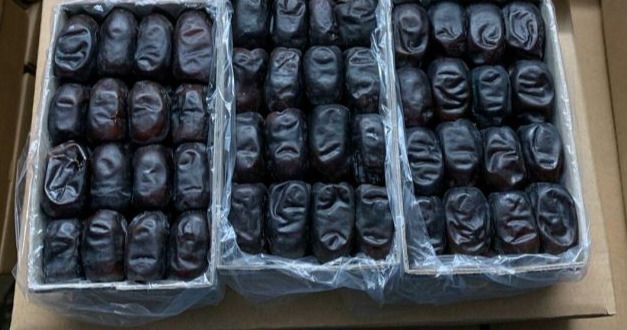 تصویر 3 از خرما مضافتی تازه کرمان با شرایط فوق العاده و بافتی نرم