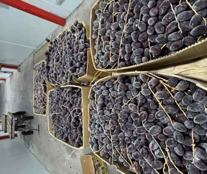 تصویر 2 از خرما مضافتی خوشه ای در وزن های متفاوت
