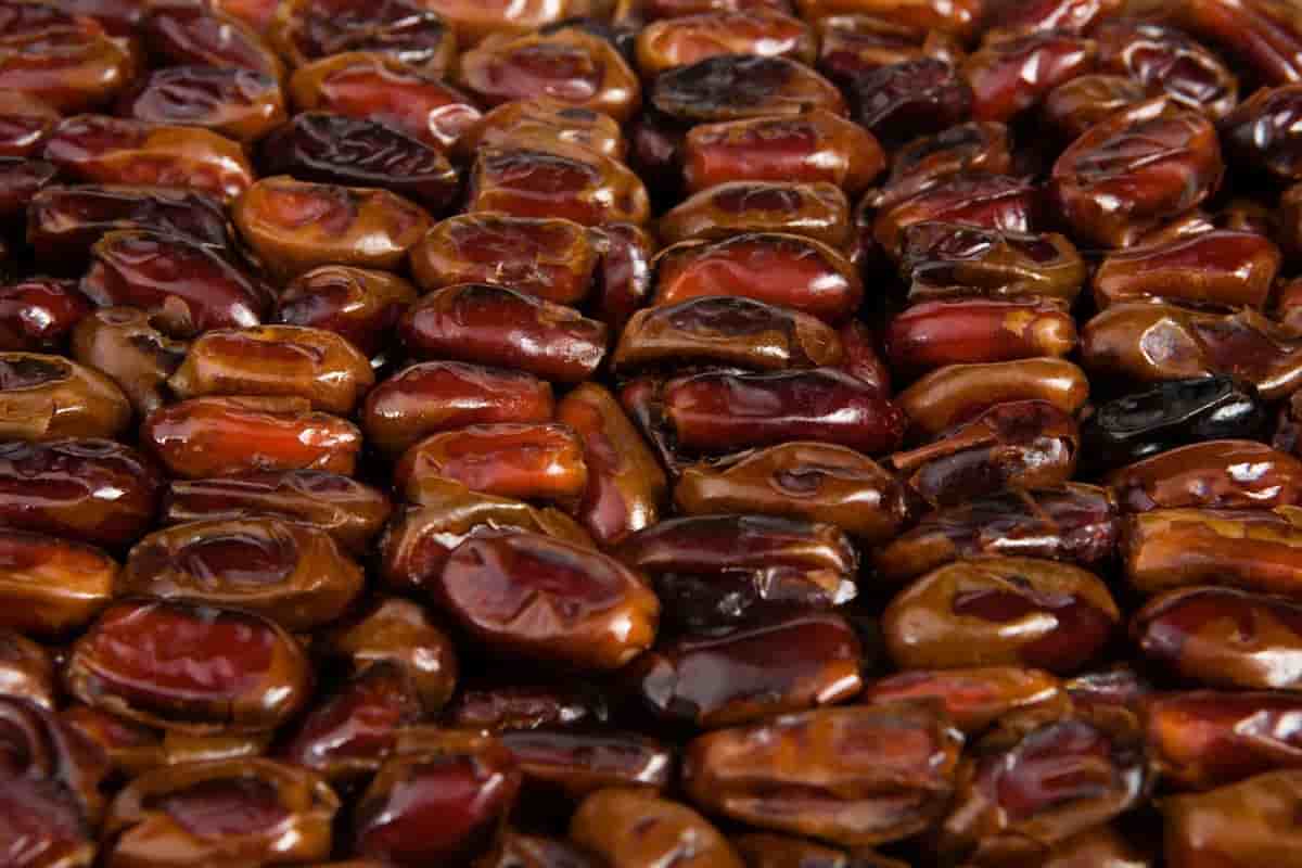 تصویر 3 از خرما مضافتی عمده با طعم کاراملی در انواع متفاوت