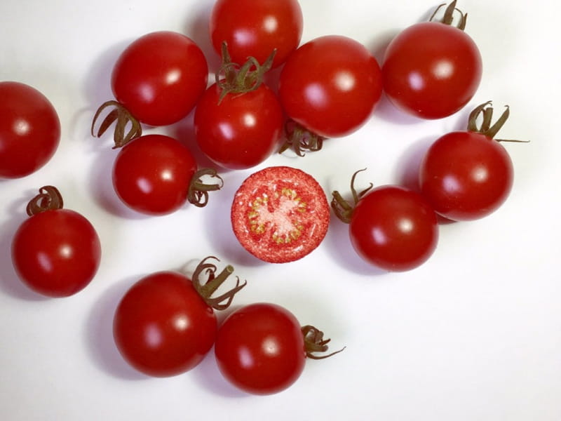 تصویر 1 از گوجه فرنگی قرمز تازه ارگانیک برداشت مستقیم مزرعه
