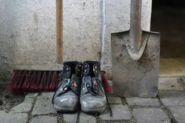 کفش ایمنی صفا دشت کیفیت بالا