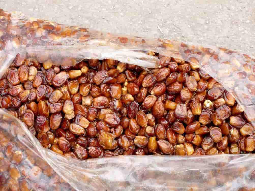 تصویر 2 از خرما خاصویی شیرینی ساده و طبیعی