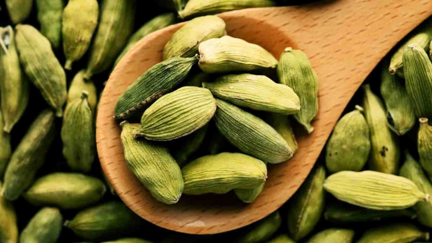 هل سبز تازه با عطر قوی و طبیعی