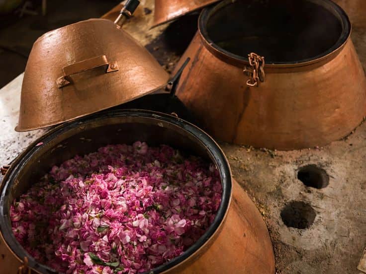 تصویر 2 از گلاب تازه طبیعی و خوش‌ عطر نیاسر