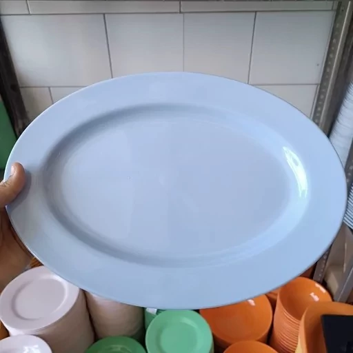 تصویر 3 از قیمت دیس رستورانی ملامین با کیفیت ارزان + خرید عمده