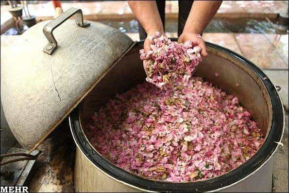 گلاب دو آتیشه ممتاز و غلیظ