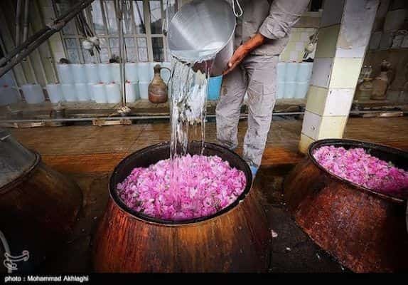 تصویر 3 از گلاب ممتاز با رایحه دلنشین