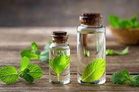 تصویر 4 از عرق نعناع اصل عطر طبیعی  طعم خنک هضم و آرامش معده