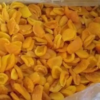 تصویر 1 از قیمت خرید برگه زردآلو ممتاز + فروش ویژه