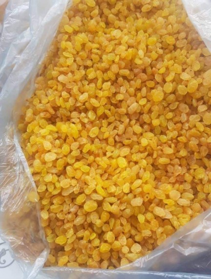 تصویر 1 از کشمش گلدن ملکان + فروش ویژه