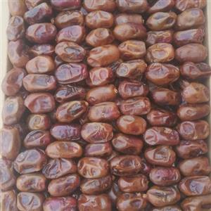 خرید خرما تازه