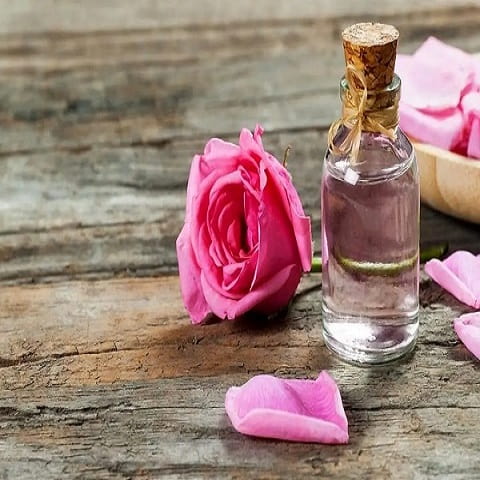 تصویر 1 از گلاب سحرخیز با عطری متعادل و ماندگاری بالا