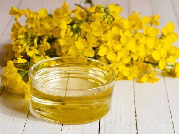 فروش روغن خوراکی