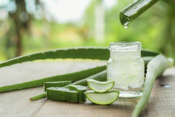 ژل آلوئه ورا ارگانیک تولید شده از بهترین گیاهان