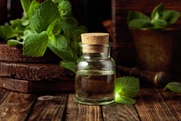 تصویر 1 از ارگانیک ترین عرق نعناع خانگی + اسانس و رایحه بی نظیر