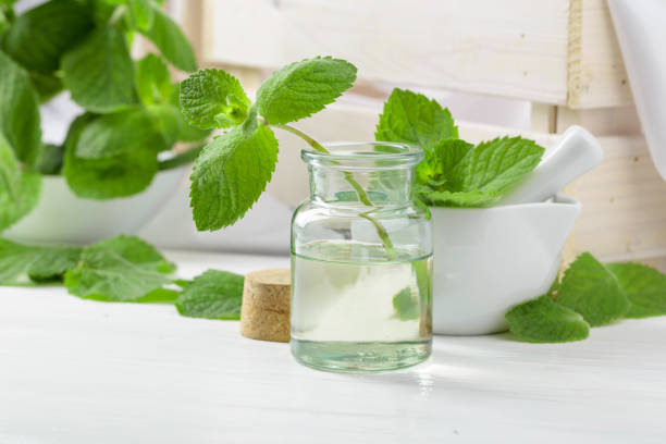 تصویر 2 از ارگانیک ترین عرق نعناع خانگی + اسانس و رایحه بی نظیر
