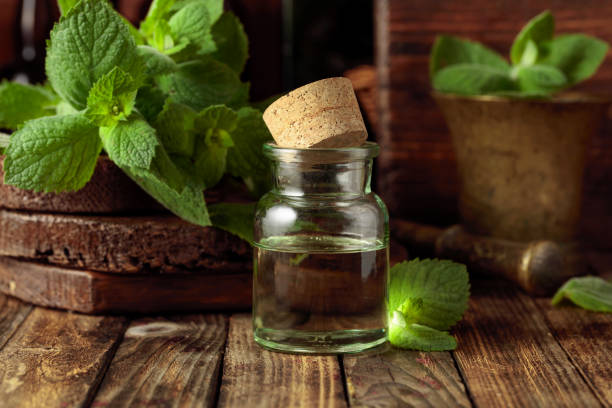 تصویر 3 از ارگانیک ترین عرق نعناع خانگی + اسانس و رایحه بی نظیر